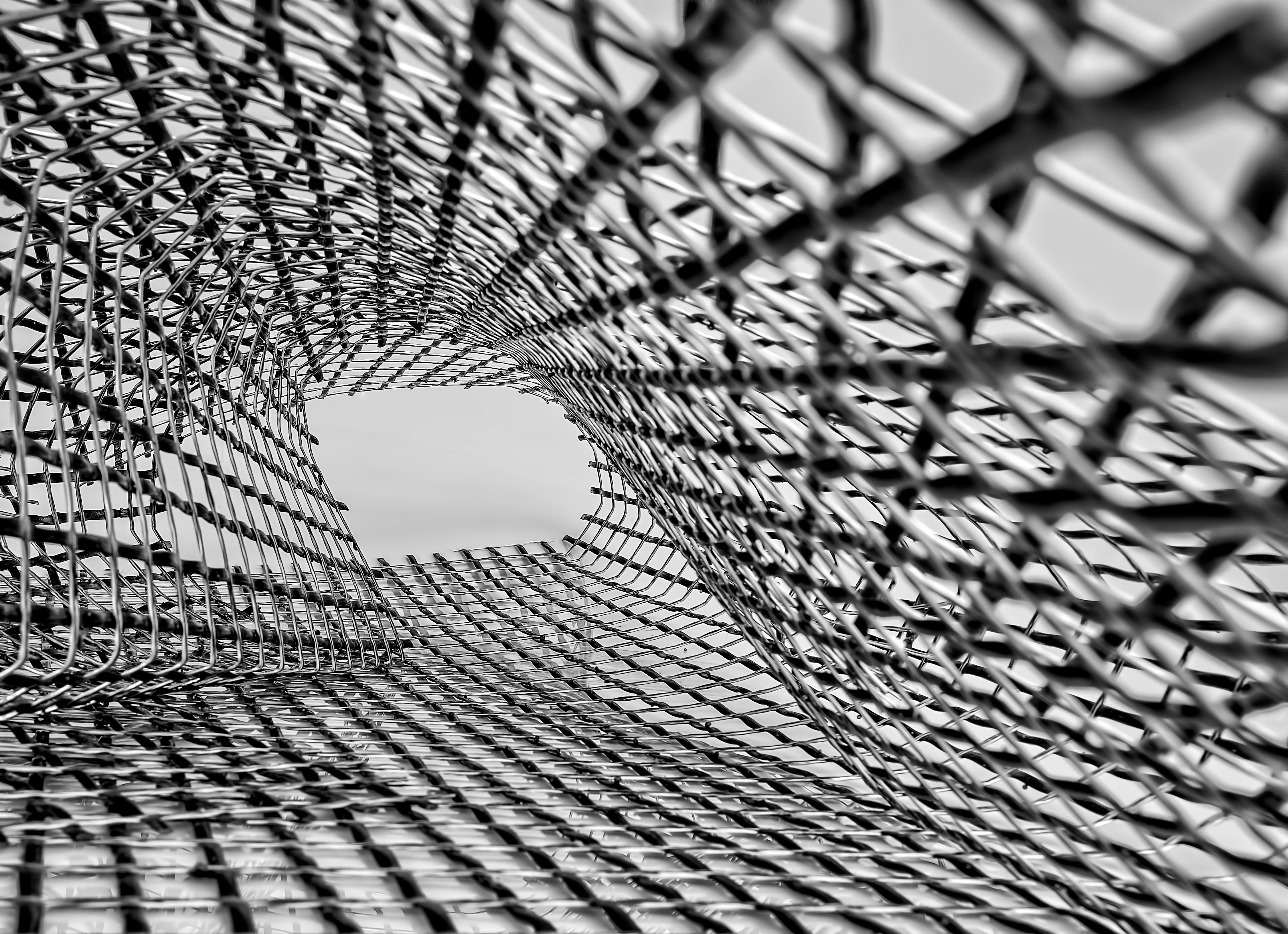 Ricardo Gomez Angel 在 Unsplash 上的照片